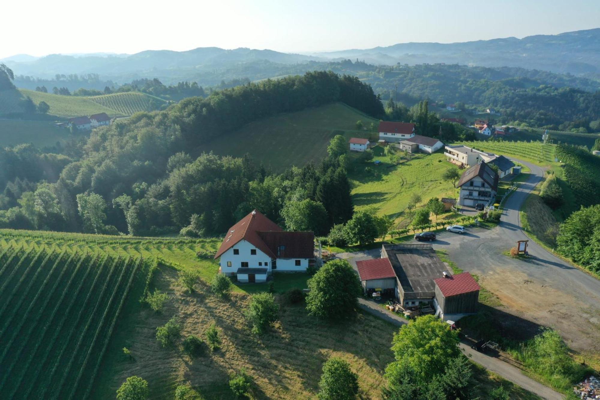 Trautenburg Stub'N Leutschach Ngoại thất bức ảnh
